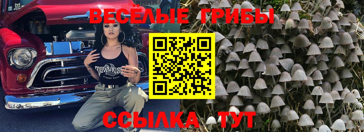 Псилоцибиновые грибы Cubensis  Вход с VPN  как найти   Галлюциногенные грибы GOLDEN TEACHER  Великие Луки 